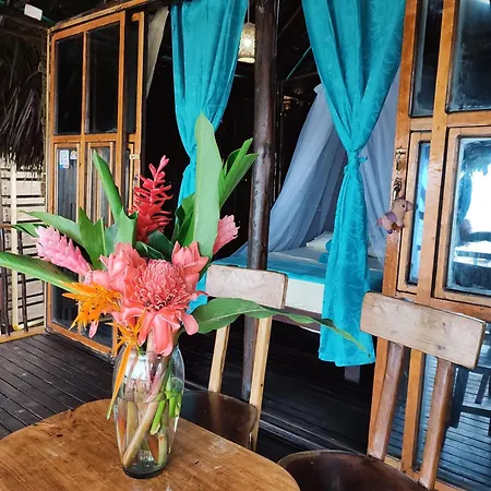 Ohana Beach Paradise